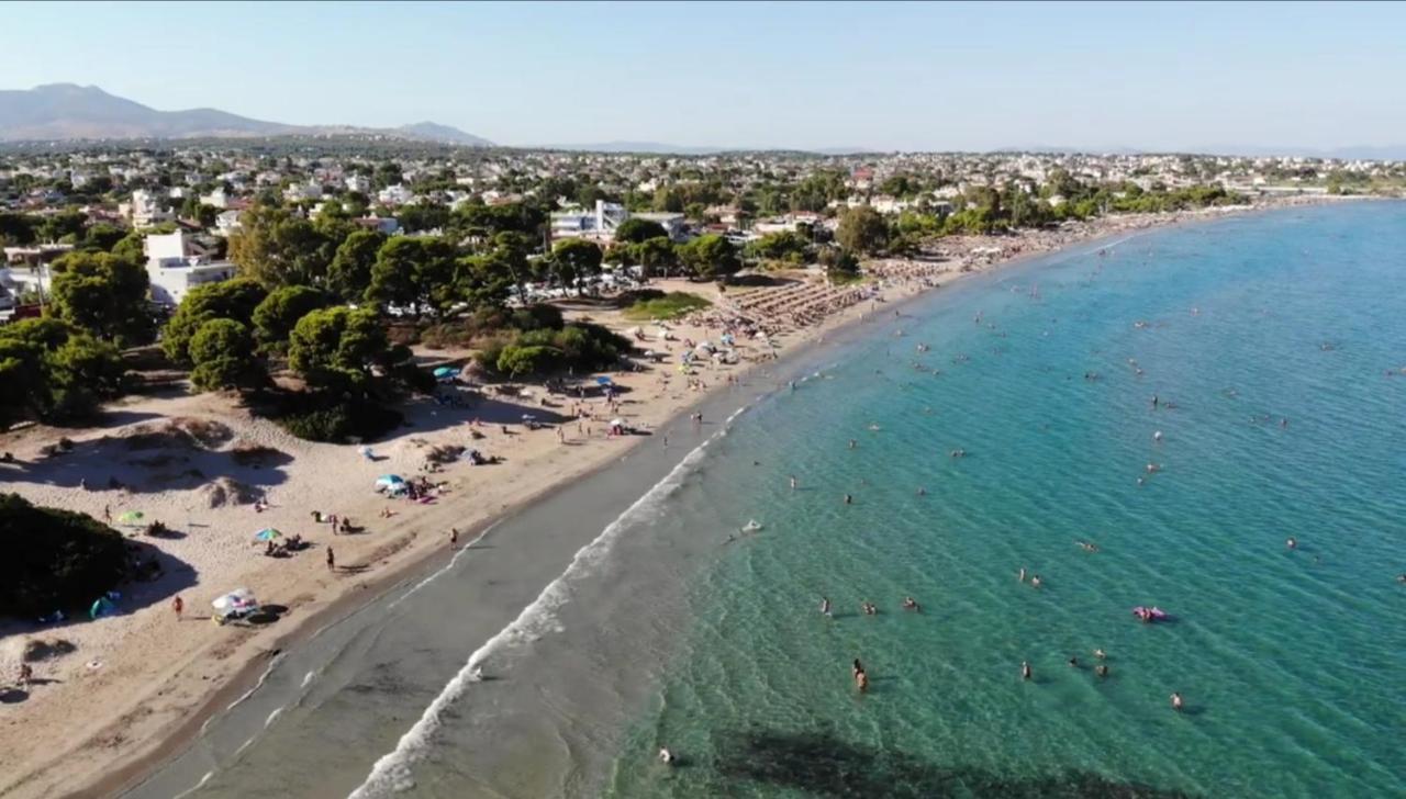 Athens Villa Artemis Pool Sea Airport المظهر الخارجي الصورة