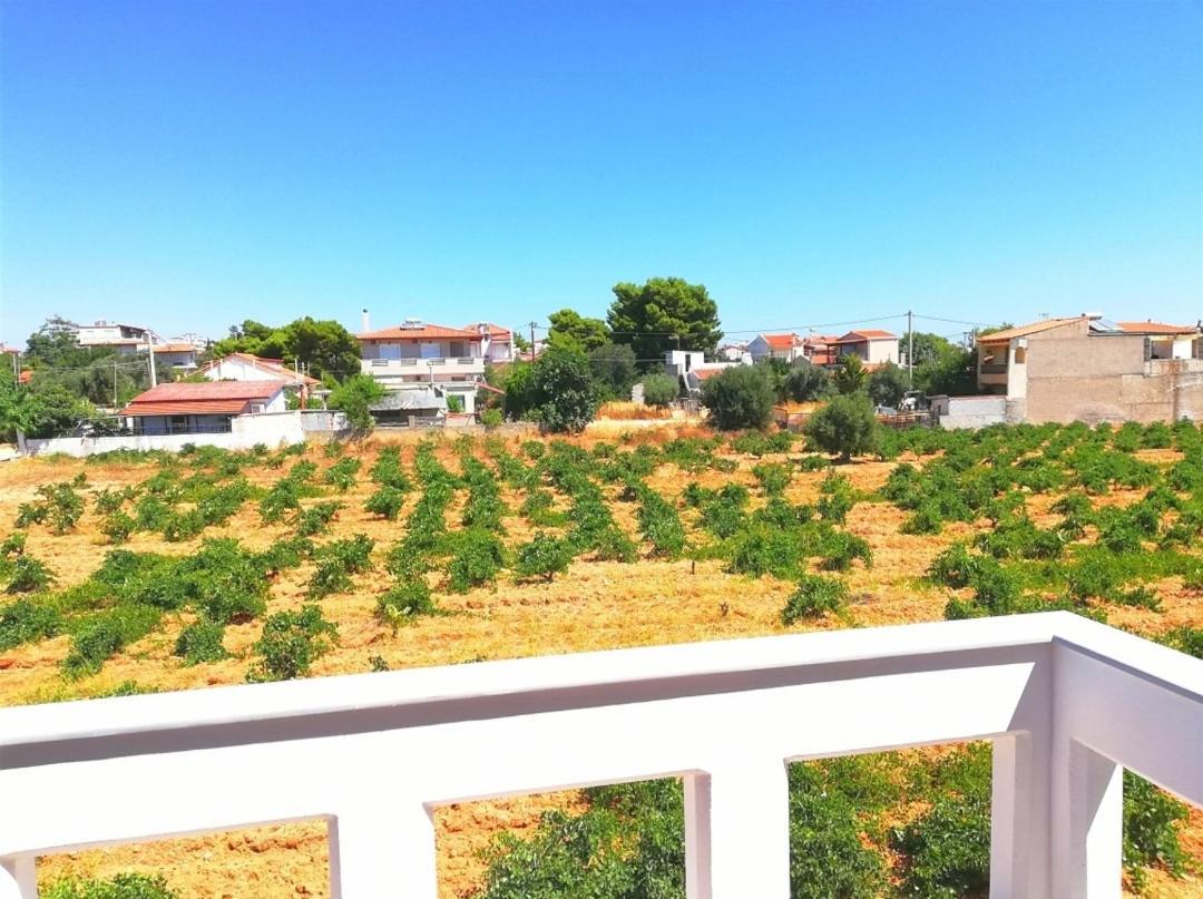Athens Villa Artemis Pool Sea Airport المظهر الخارجي الصورة